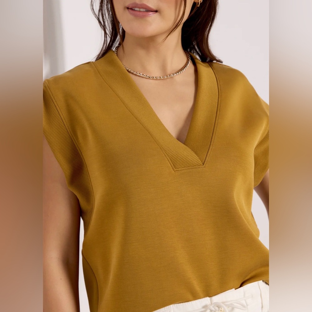 NWOT EVEREVE Eva Sleek V Neck top L Tapenade